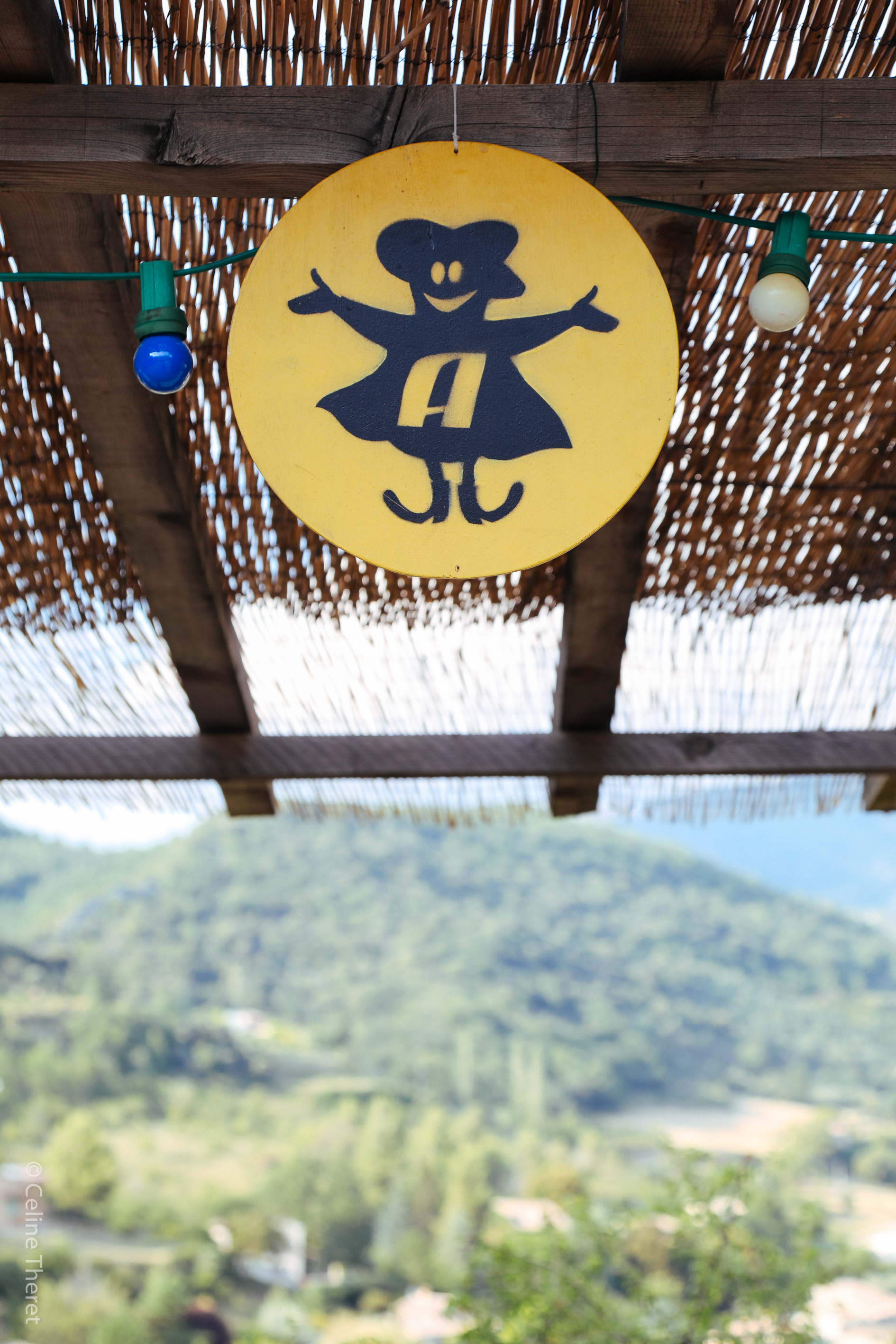 Cliquez pour agrandir concert_8