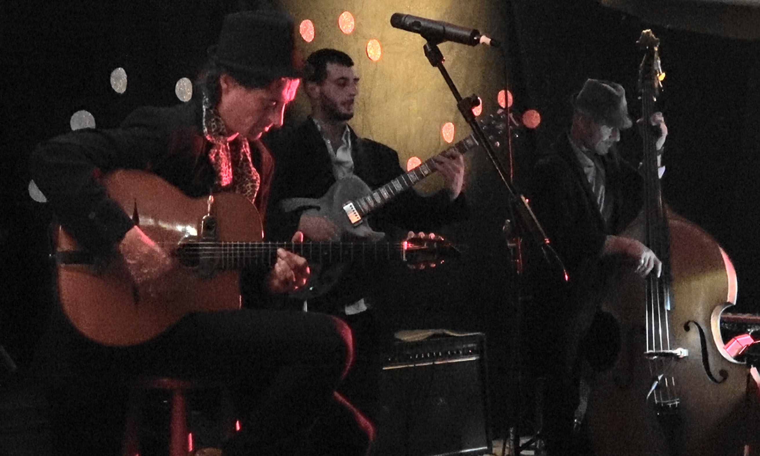 Cliquez pour agrandir matzapito_7